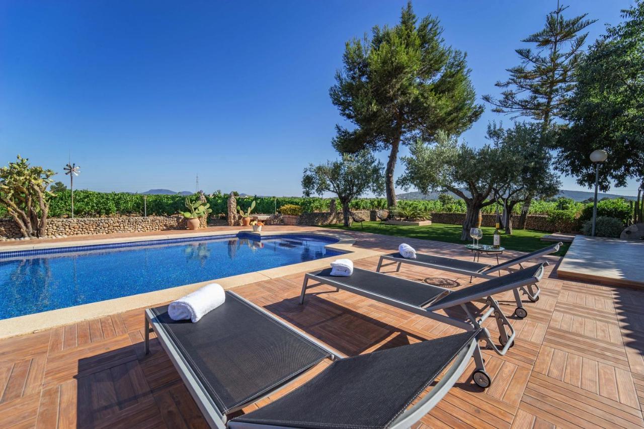 Villa Vinyes Grau