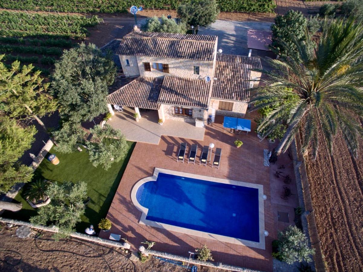 Vinyes Grau Sencelles