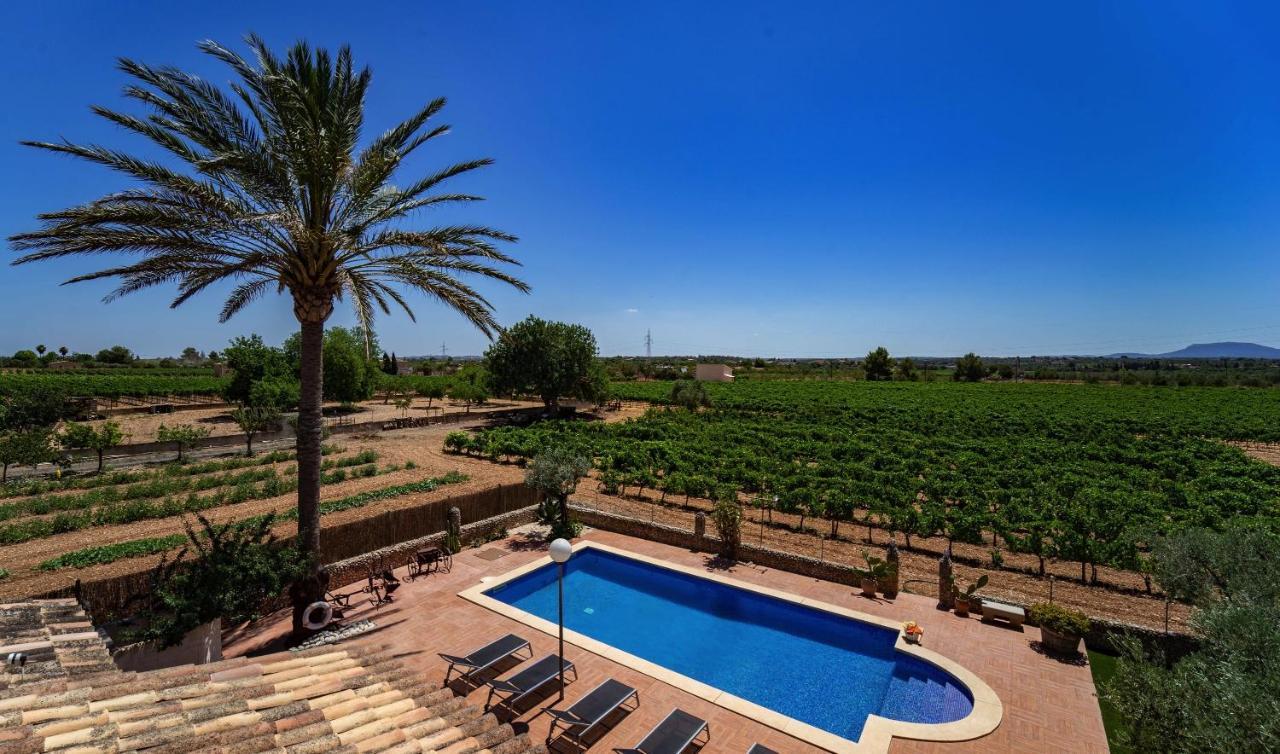 Vinyes Grau Villa *