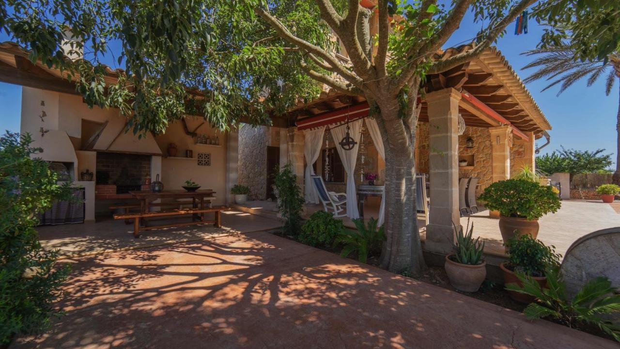 Vinyes Grau Villa *